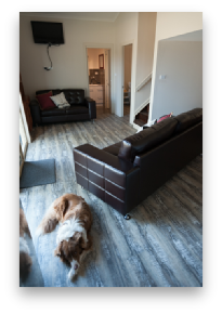 Farmstay Barn Gallery